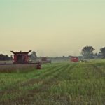 DSC08879 150x150 Żniwa 2017: Kombajny Case IH 8230 Axial Flow w rzepaku   FOTO