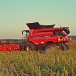 DSC08885 150x150 Żniwa 2017: Kombajny Case IH 8230 Axial Flow w rzepaku   FOTO