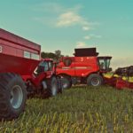 DSC08890 150x150 Żniwa 2017: Kombajny Case IH 8230 Axial Flow w rzepaku   FOTO