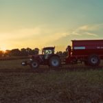 DSC08892 150x150 Żniwa 2017: Kombajny Case IH 8230 Axial Flow w rzepaku   FOTO