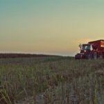 DSC08898 150x150 Żniwa 2017: Kombajny Case IH 8230 Axial Flow w rzepaku   FOTO