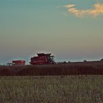 DSC08923 150x150 Żniwa 2017: Kombajny Case IH 8230 Axial Flow w rzepaku   FOTO