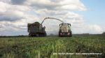 IS IMG 0026 150x84 Żyto na kiszonkę   Claas Jaguar 950, John Deere 7830, New Holland T8.360, TM120 – FOTO