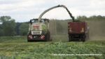 IS IMG 0039 150x84 Żyto na kiszonkę   Claas Jaguar 950, John Deere 7830, New Holland T8.360, TM120 – FOTO