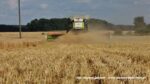 IS DSCF9063 150x84 Claas Lexion 7600 TerraTrac   żniwa 2020 (FOTO)