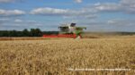 IS DSCF9079 150x84 Claas Lexion 7600 TerraTrac   żniwa 2020 (FOTO)