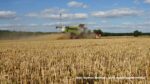 IS DSCF9089 150x84 Claas Lexion 7600 TerraTrac   żniwa 2020 (FOTO)