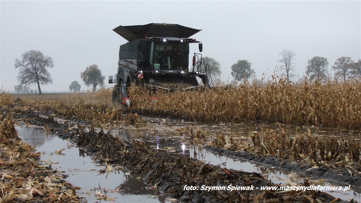 IS DSCF0573 Nowe przyczepy zbierające Fendt Tigo MS, MR i MR Profi