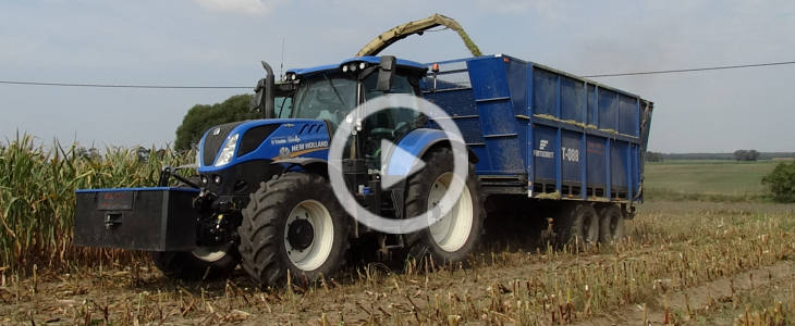 New Holland Case John Deere kukurydza 2021 film Kukurydziane żniwa 2021 w GR Mojzesowicz   w polu Claas Tucano 440   VIDEO