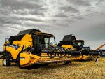 zdj7 150x113 Pokazy żniwne NEW HOLLAND z firmą Argos Wrońscy