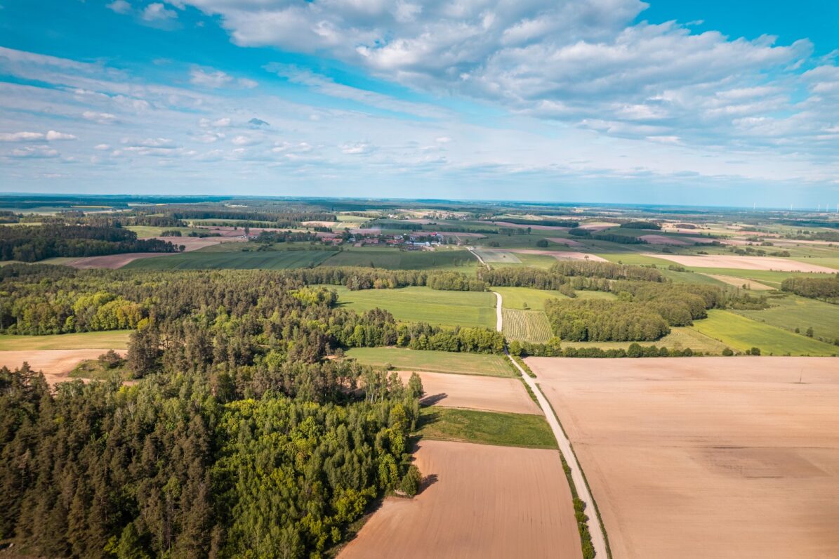 Bez nazwy 3 Agrihandler udowadnia: „wiemy jak zwiększyć plony” – zakończenie trzeciej edycji Akademii Trawy