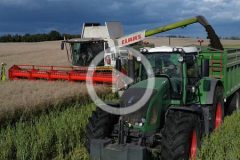 Claas Lexion 750 Fendt 939 rzepal 2024 film 240x160 Fendt 716 i 824 Vario z agregatem Köckerling i głęboszem Agrisem w uprawie pożniwnej