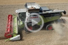 Claas Trion 730 zniwa 2024 film 240x160 CLAAS EVION   nowa seria kombajnów zbożowych