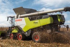 Claas Trion 740 240x160 Żniwa 2022   Claas Dominator 130 na Kujawach   VIDEO