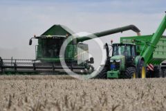 John Deere Spichlerz Jaskoly zniwa 2024 film 240x160 Żniwa 2024 w Kom Rol Kobylniki, Claas Lexion 480 i Ursusy w jęczmieniu   GR Głębokie