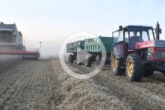 Kom Rol zniwa 2024 film 240x160 New Holland T7.165S z beczką Wienhoff 18300 i aplikatorem Vogelsang   rozlewanie pofermentu z firmą Agronawóz