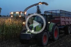 Claas Jaguar 940 ostatnia kukurydza 2024 film 240x160 CLAAS TRION 660   kukurydziane żniwa 2024 z firmą Agro Rolas Inowrocław