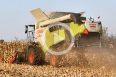 Claas Trion 660 kukurydza 2024 film 240x160 Pokazy Zielonkowe z maszynami Massey Ferguson i Schuitemaker – „z lotu ptaka”