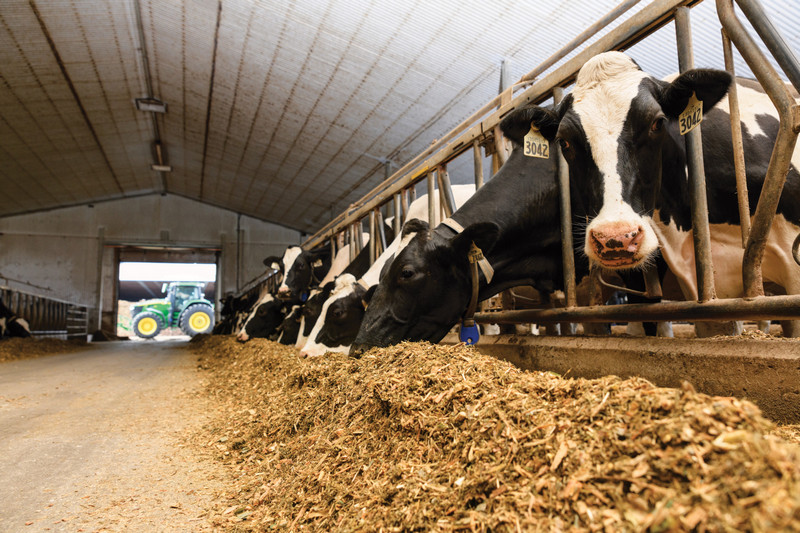 John Deere Czy to dobry czas na inwestycje 3 Polacy w gospodarczej czołówce Europy. Czy to dobry czas na inwestycje w maszyny rolnicze?